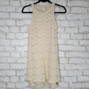 Altar'd State cute lace mini dress